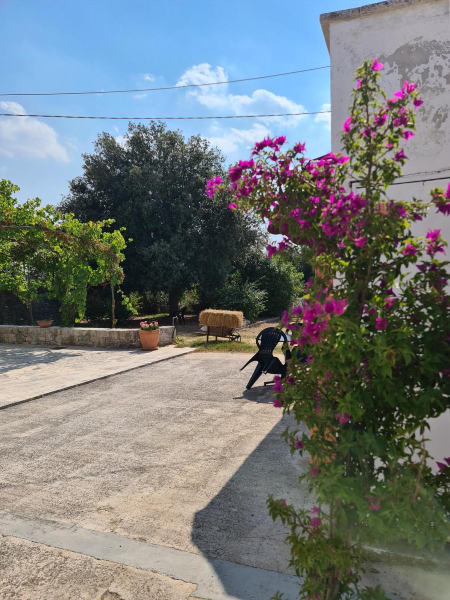 Masseria Gianca Cisternino Exteriér fotografie