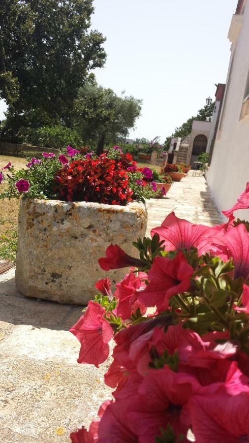 Masseria Gianca Cisternino Exteriér fotografie